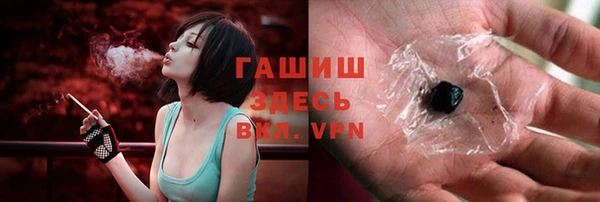 шишки Надым