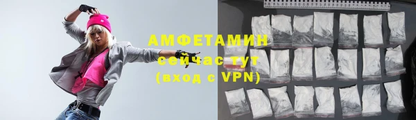 шишки Надым