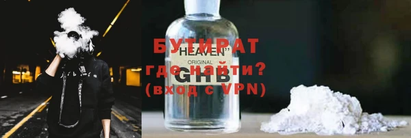 шишки Надым