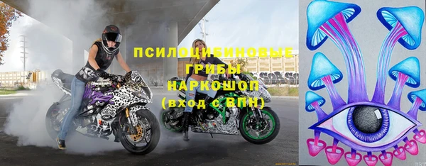 ПСИЛОЦИБИНОВЫЕ ГРИБЫ Навашино