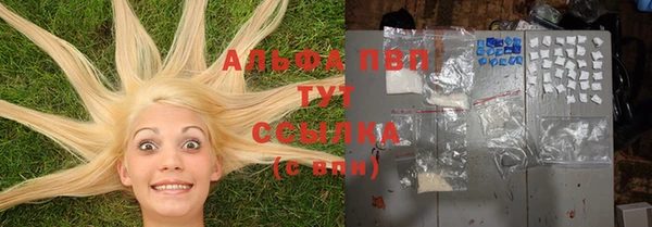 шишки Надым