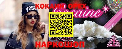 гашик Будённовск