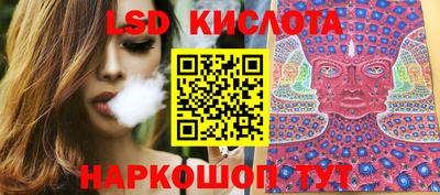 гашик Будённовск