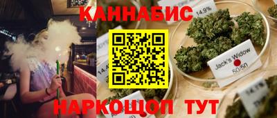 гашик Будённовск
