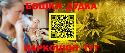 гашик Будённовск