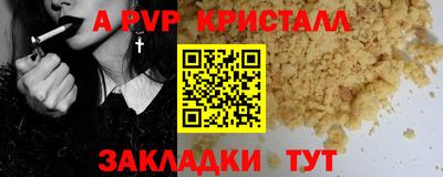 гашик Будённовск