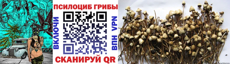 Галлюциногенные грибы GOLDEN TEACHER  Кушва 