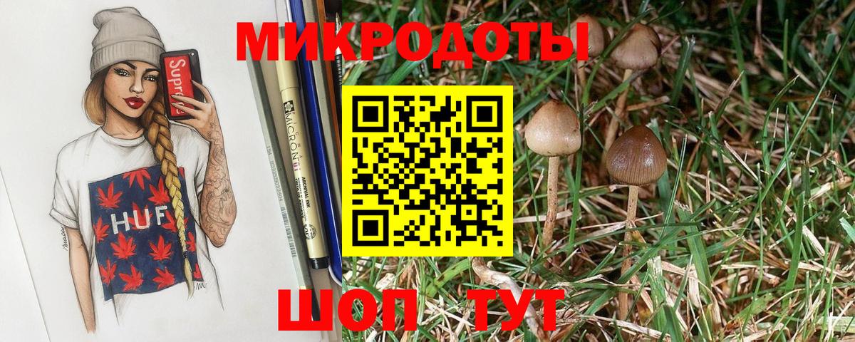 Галлюциногенные грибы Psilocybine cubensis Кушва