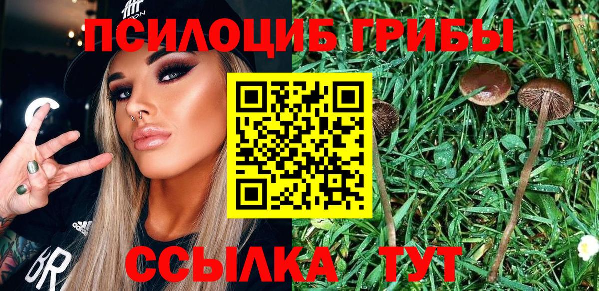 Кушва  Псилоцибиновые грибы ЛСД  Вход с VPN  наркотики  Галлюциногенные грибы Magic Shrooms 